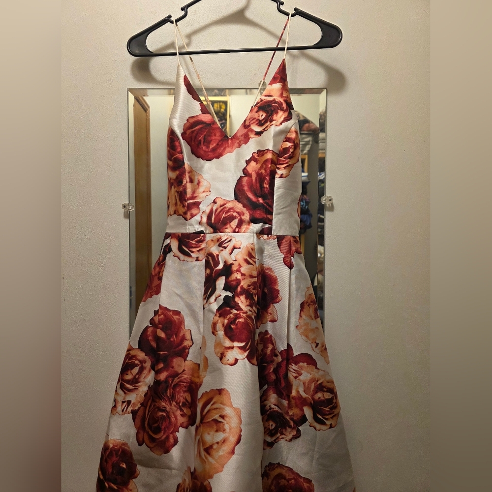 by & by Rose Print Mini Dress - White and Red